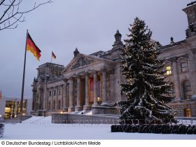 2666485 Kein Papst im Bundestag!