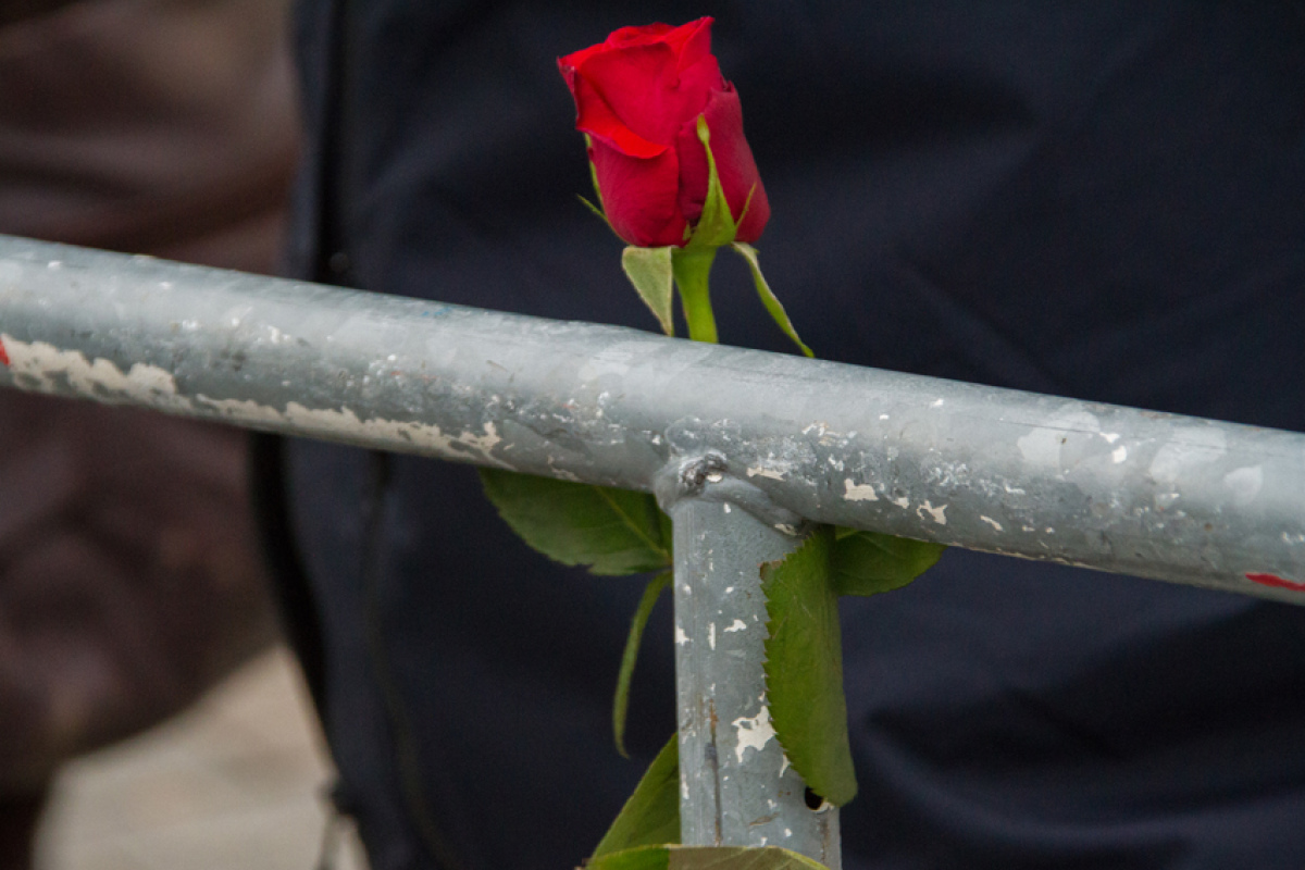 Rose