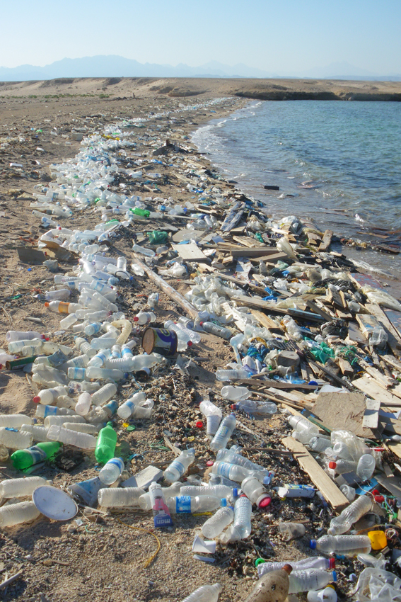 Grober Plastikmüll am Ufer des Roten Meeres (nahe Safaga, Ägypten), Foto: gemeinfrei