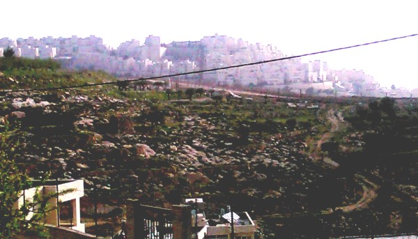 Die umstrittene Siedlung Har Homa von Ranas Haus aus gesehen.