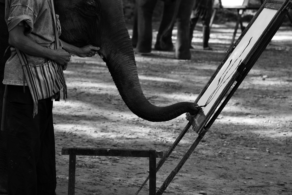 ...an die dann auch die von Elefanten gemalten Bilder verkauft werden.