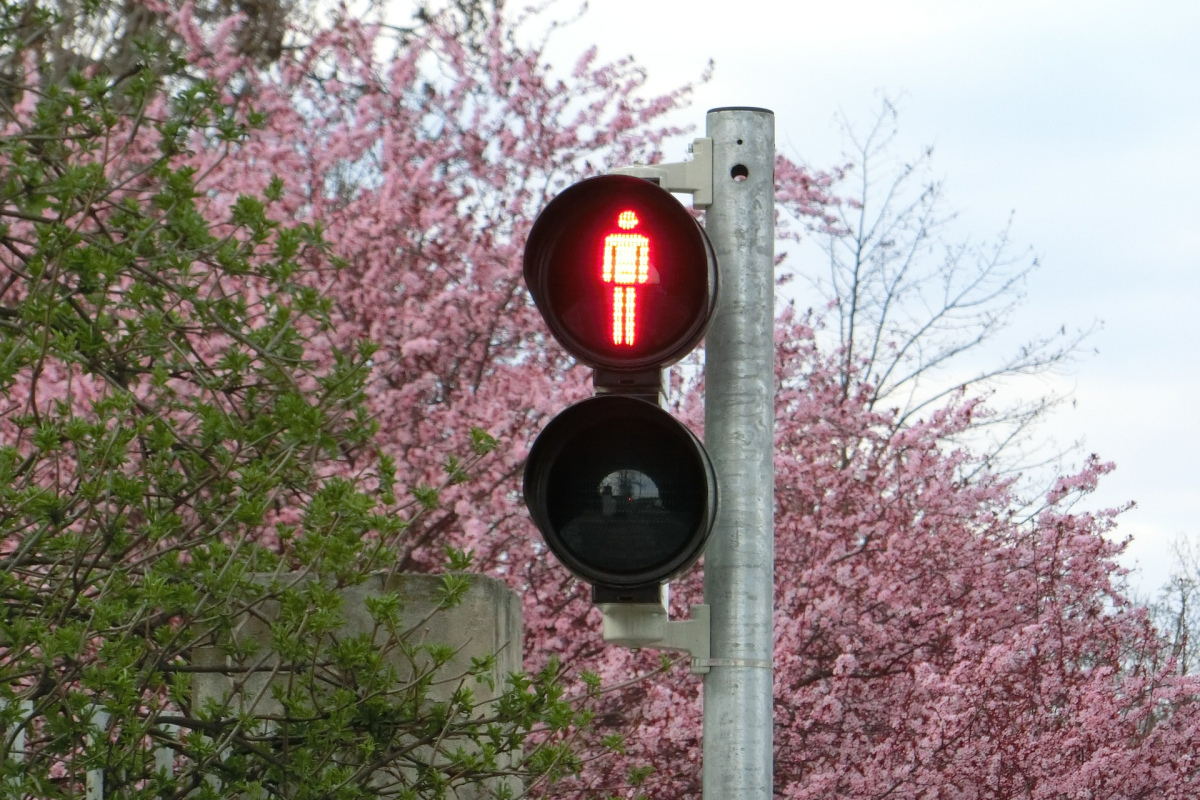 Rote Ampel