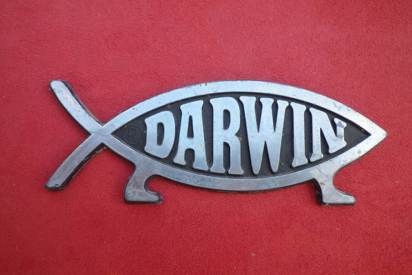 Im Gegensatz zum Symbolfisch der Christen kann der Darwin-Fisch bereits laufen(!)