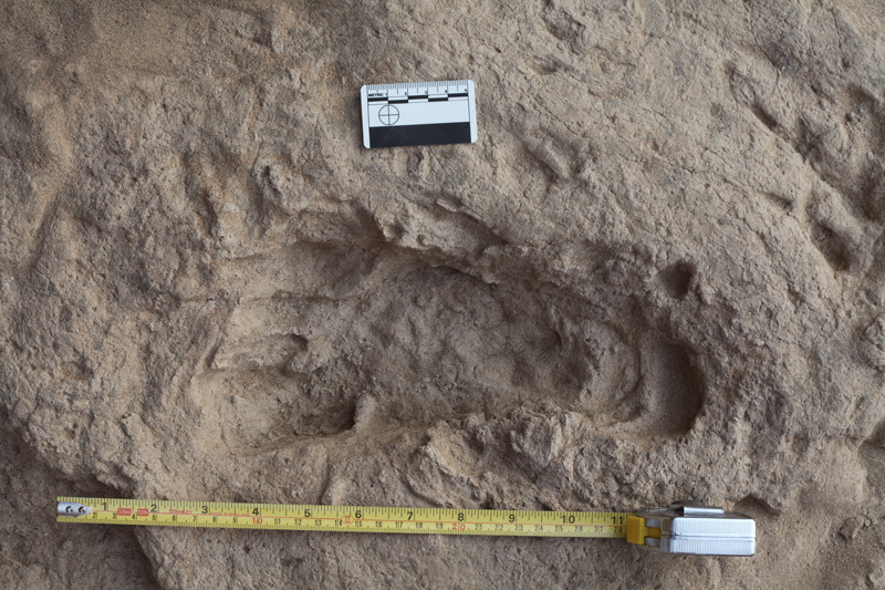 1,5 Millionen Jahre alte Fußabdrücke