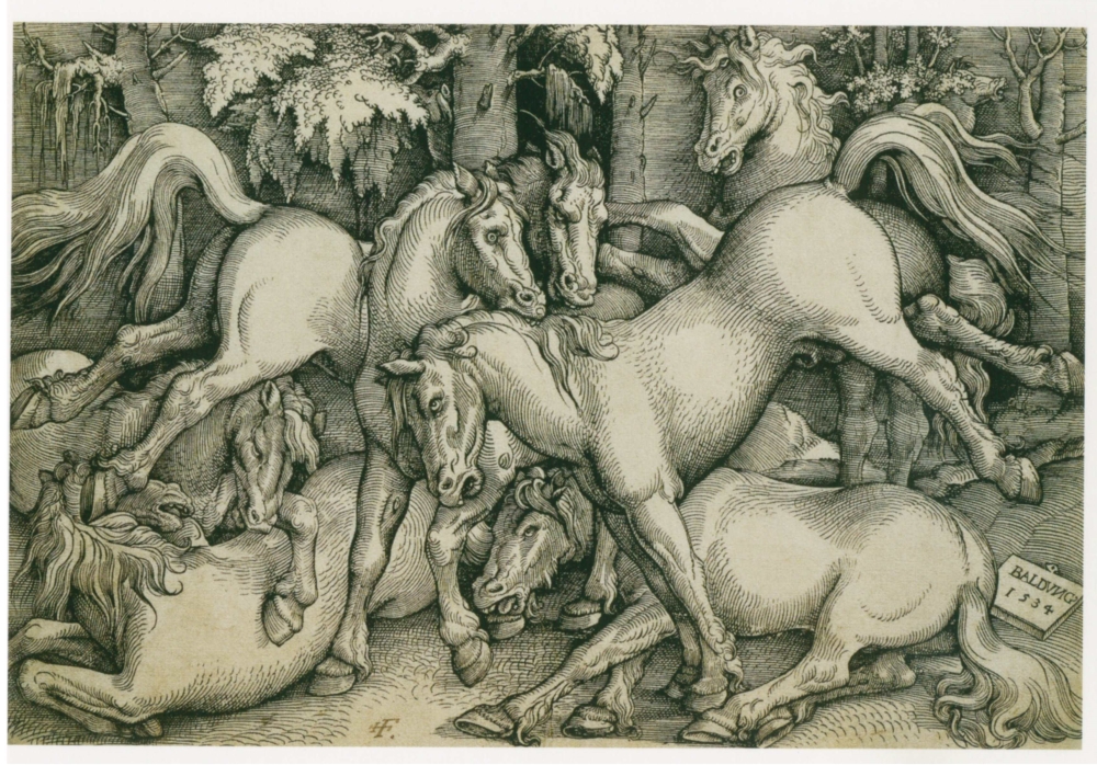 Hans Baldung Grien - Kämpfende Hengste in mitten einer Gruppe von Wildpferden im Walde - Copyright Kunstmuseum Ravensburg