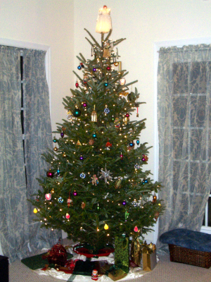Frei, absurd und trotzdem sinnstiftend: Menschen stellen sich zu Weihnachten ein Stück Wald ins Wohnzimmer. 
