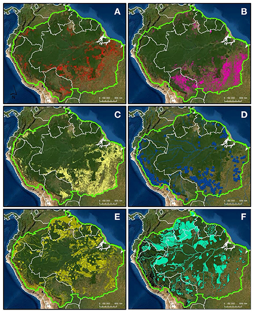 Ursachen für Landverbrauch im Amazonas