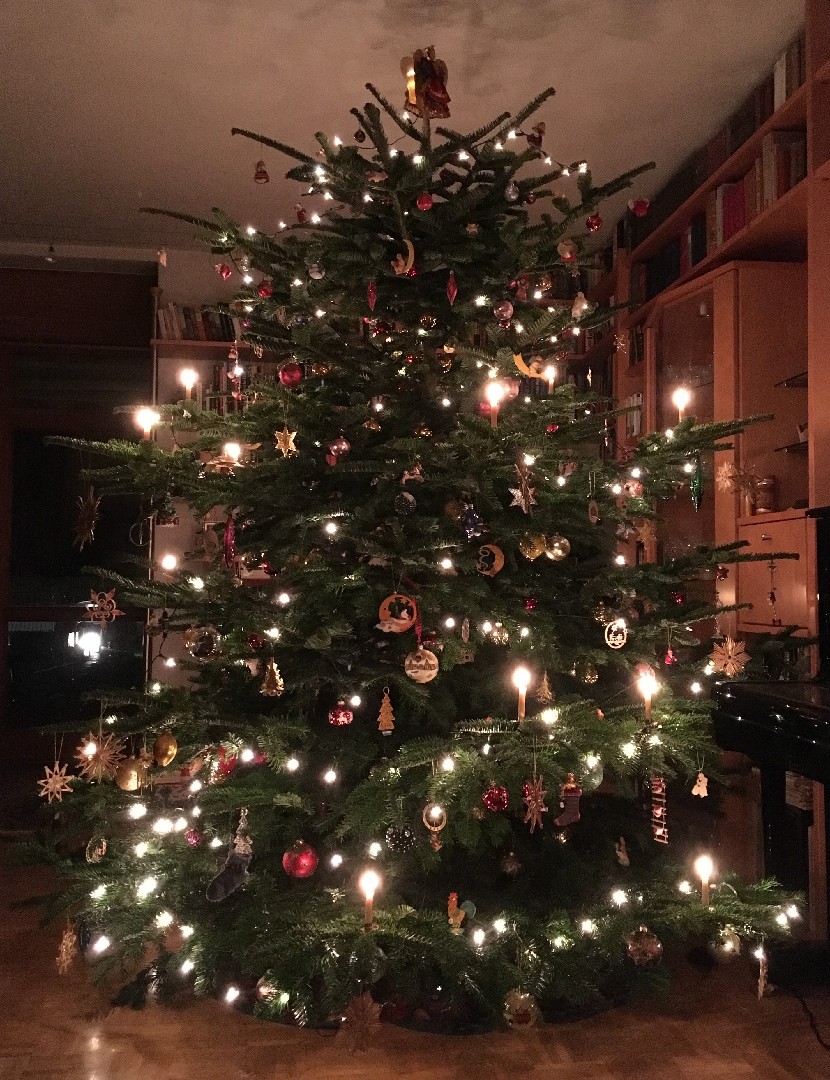heutiger Weihnachtsbaum