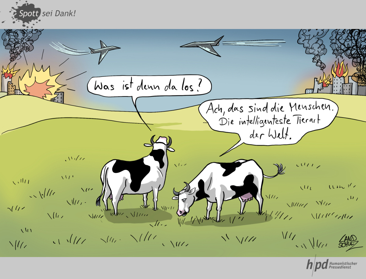 Karikatur: Dorthe Landschulz