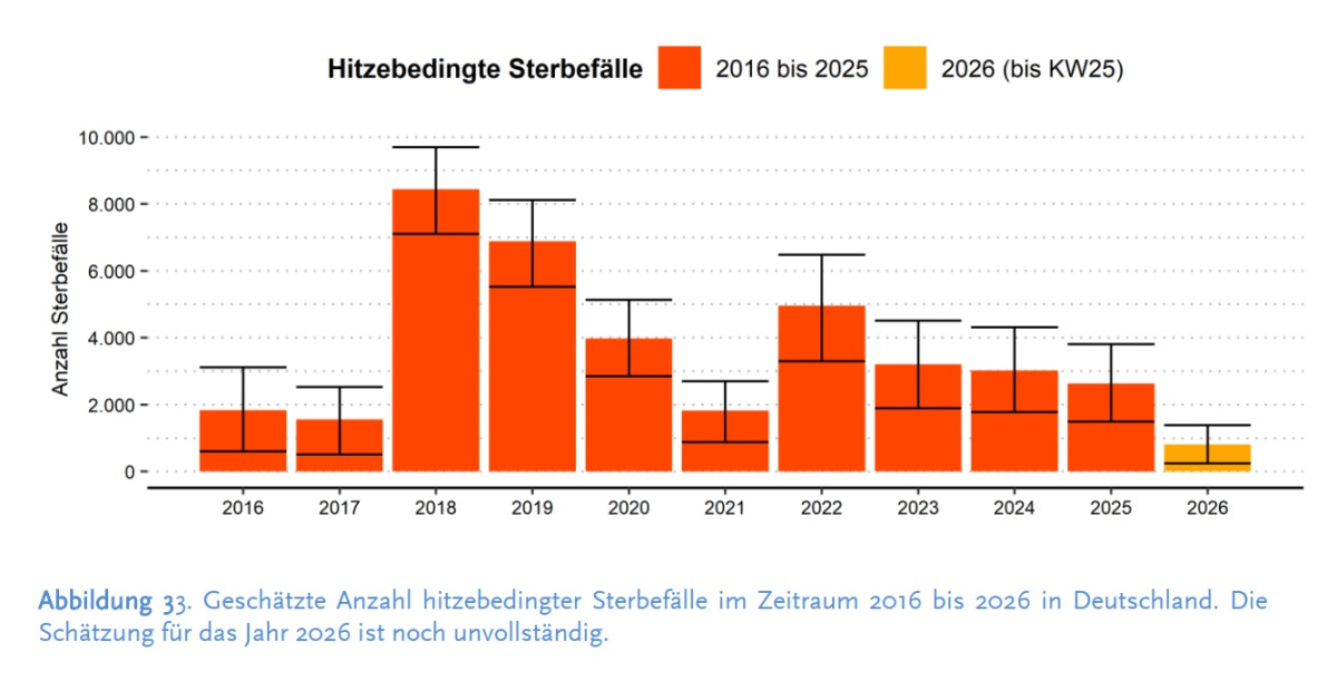 Hitzetote laut RKI
