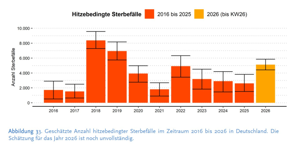 Hitzetote laut RKI