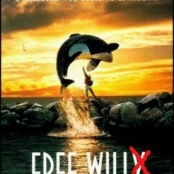 Den Willen befreien?