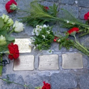 Stolpersteine, Fotos: F. Nicolai
