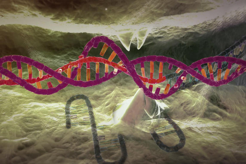 CRISPR-Cas9 hat die Genom-Editierung revolutioniert.