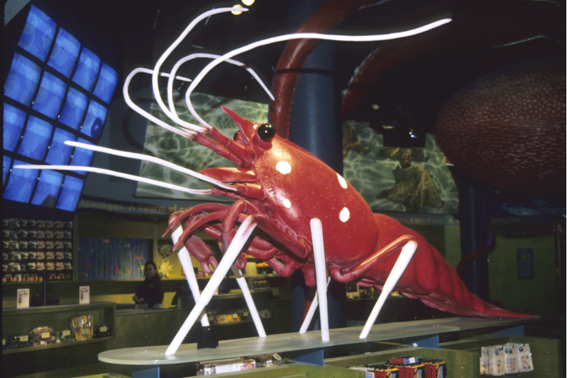Debelius-"Tochter" Lysmata als Replik am Eingang des Shed-Aquariums Chicago-USA
