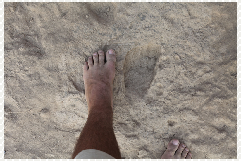 Der fossile Fußabdruck ist von dem einen modernen Menschen kaum zu unterscheiden.
