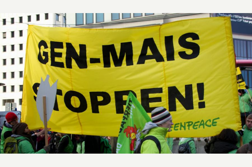 Auf der "Wir haben es satt"-Demo am 18.01.2014 in Berlin