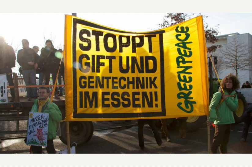 Auf der "Wir haben es satt"-Demo am 18.01.2014 in Berlin