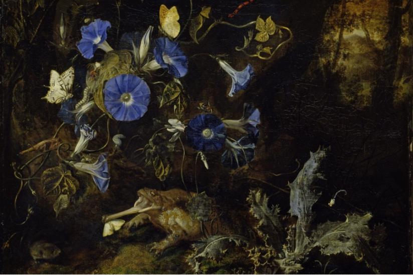 Otto Marseus van Schrieck - Waldboden mit blauen Winden und Kroete -1660 