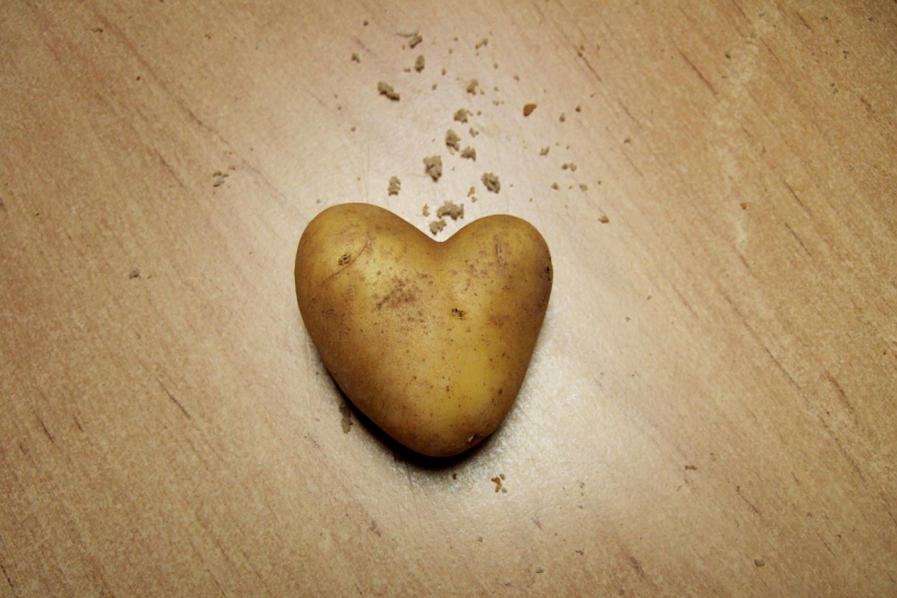 Leiden Nicht Auch Pflanzen Hpd