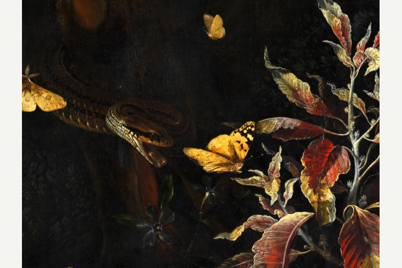 Otto-Marseus van Schrieck - Schmetterlinge und Blumen - 1675 - Detail