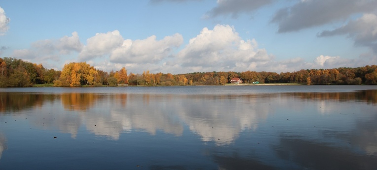 Der Hollener See bei Saterland.