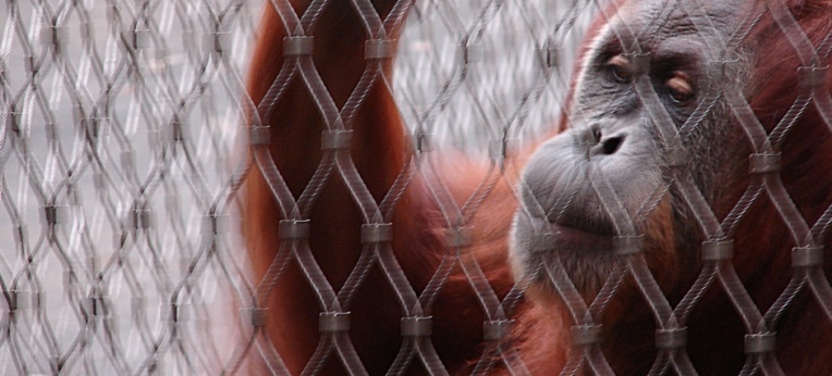 Ist hohe Lebenserwartung hinter Gittern überhaupt erstrebenswert?