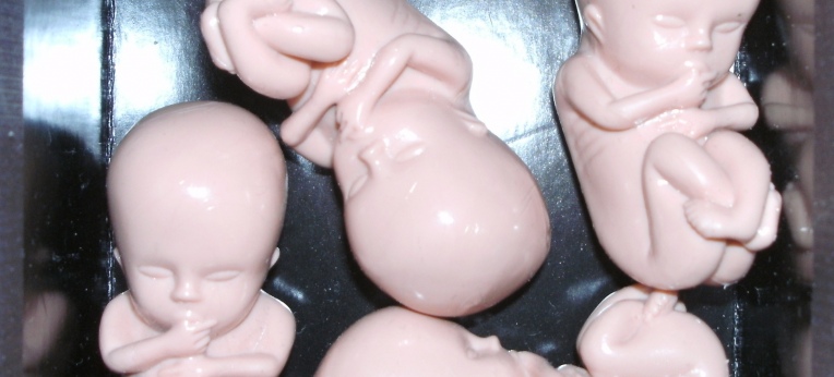 Ca. 10 Wochen alte Embryos aus Plastik, die bei der Embryonenoffensive verteilt werden