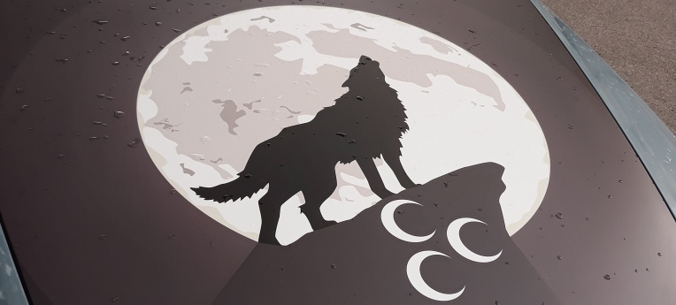 Symbol der Grauen Wölfe