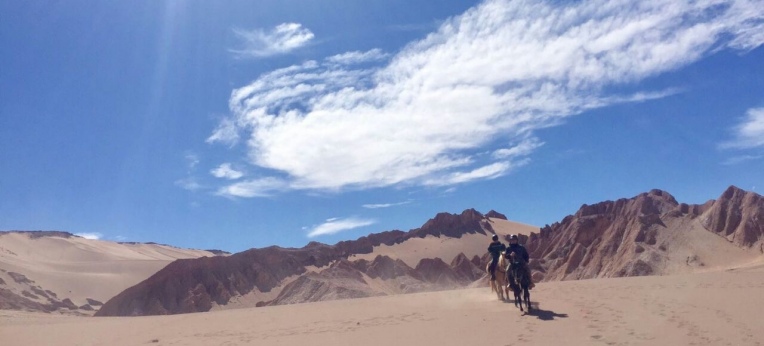 Ritt durch die Atacama-Wüste.