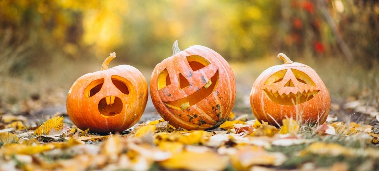 geschnitzte Halloween-Kürbisse