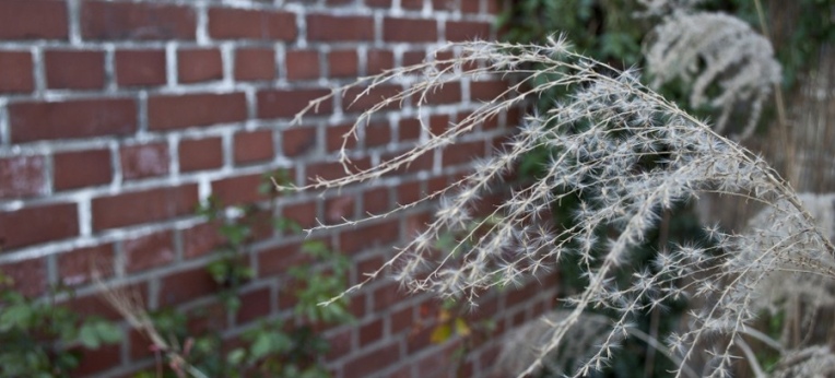 Die Mauer der Psychiatrie