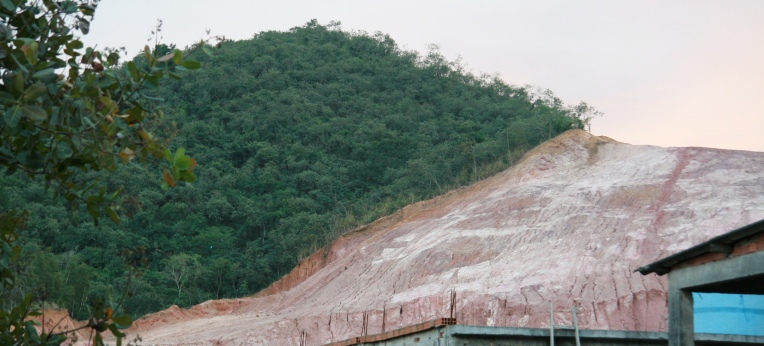 Regenwaldabholzung in Brasilien