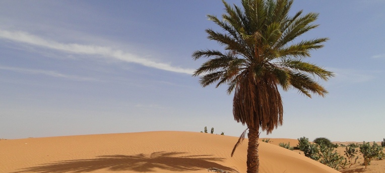 Wüste in Mauretanien