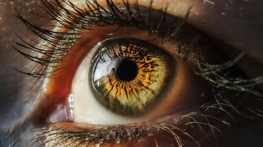 Nahaufnahme eines menschlichen Auges