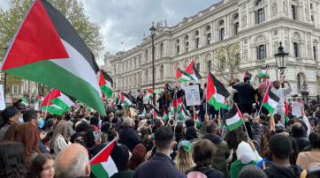 Pro-Palästina-Demo in London