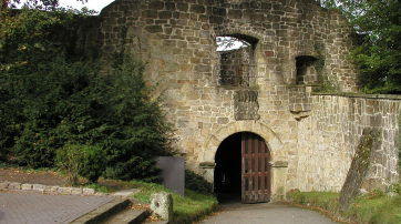 Burgruine Tecklenburg