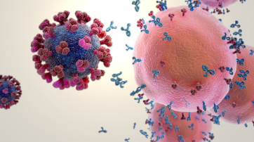 Warum Sollte Ich Einen Launischen Bosartigen Dummen Gott Respektieren Hpd