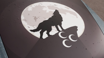Symbol der Grauen Wölfe