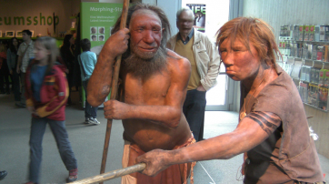 Neues Modell eines Neandertalers (Mann und Frau) im Neandertal-Museum