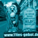 Das "11. Gebot" beim Katholikentag in Würzburg