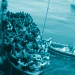 Während der von Frontex geführten Operation Triton im südlichen Mittelmeer rettet das irische Flaggschiff LÉ Eithne zahlreiche Flüchtlinge.