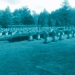 Friedhofshain
