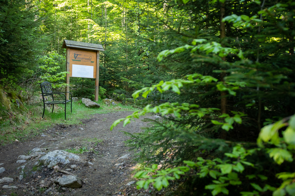 Trauerwald