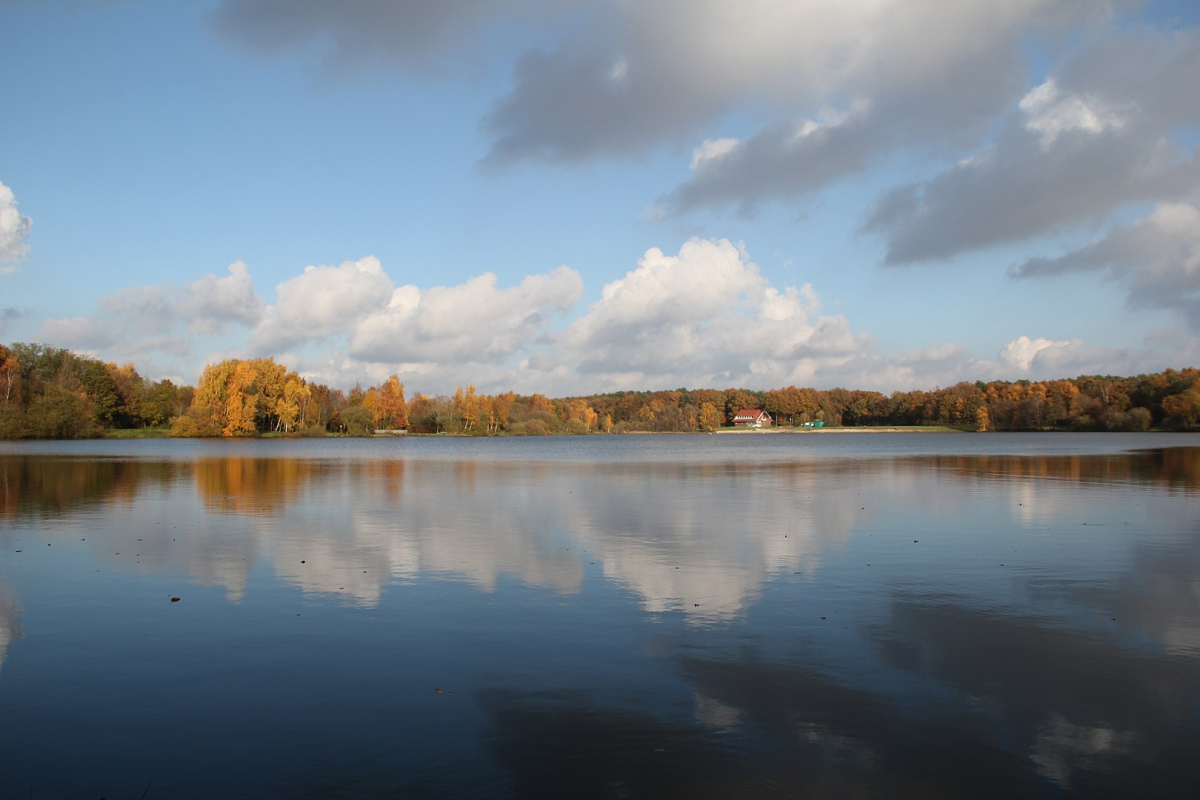 Der Hollener See bei Saterland.