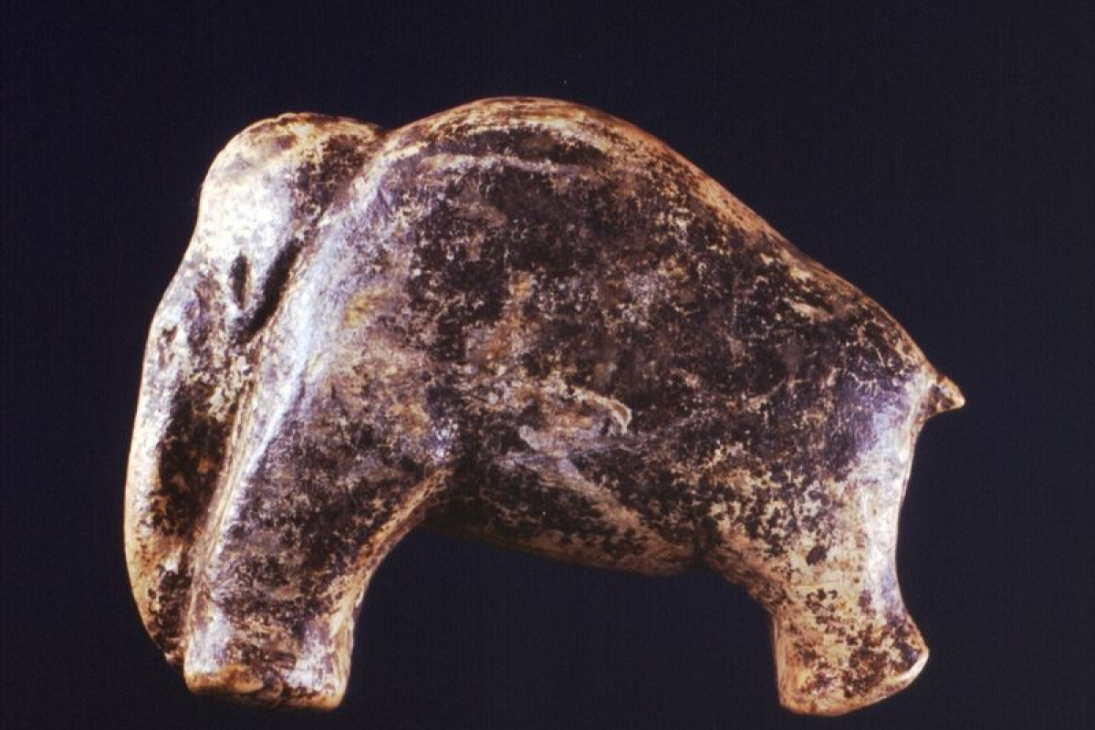 Mammut