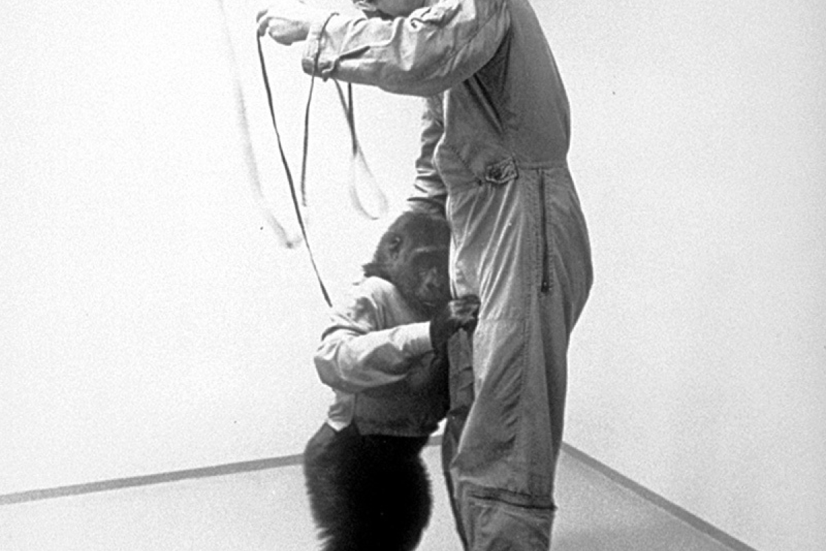 Training (Standfoto)