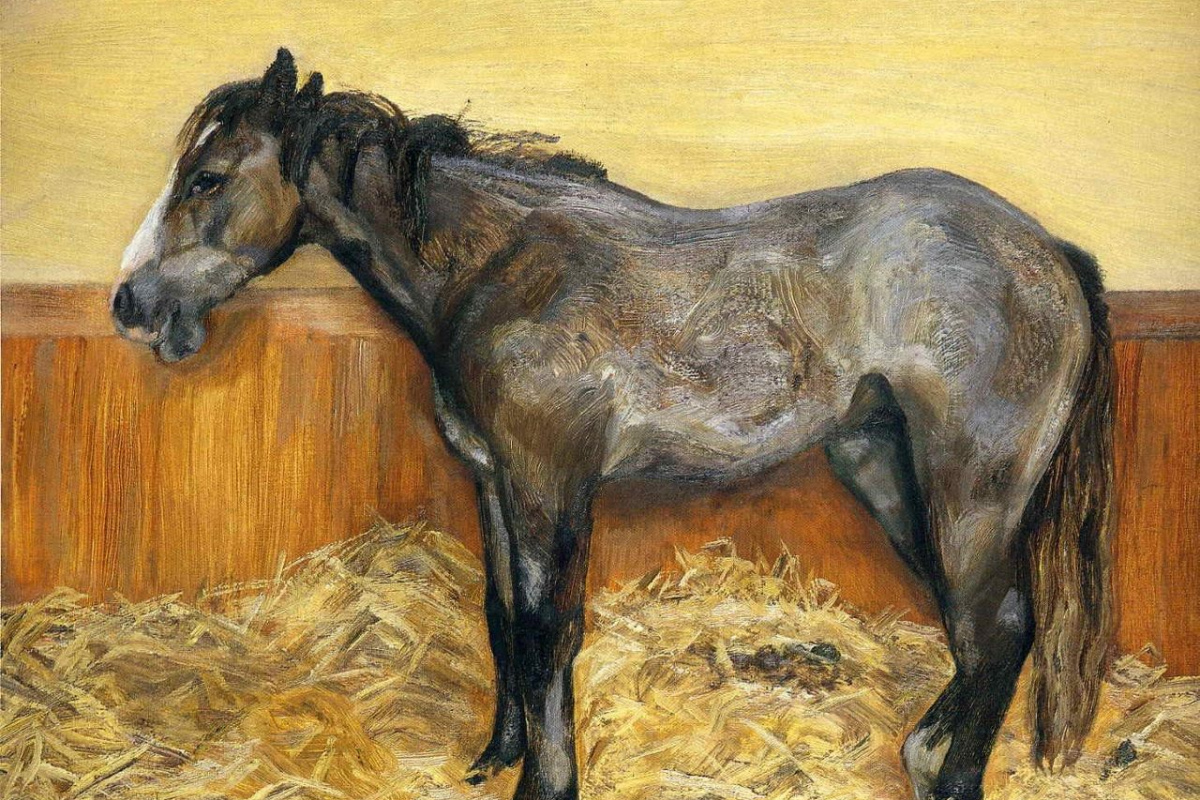 Fohlen (1970)