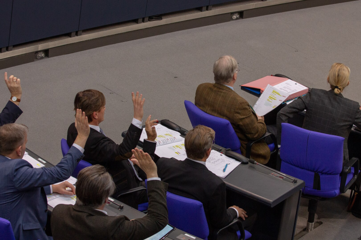 AfD-Fraktion im Deutschen Bundestag (2019)