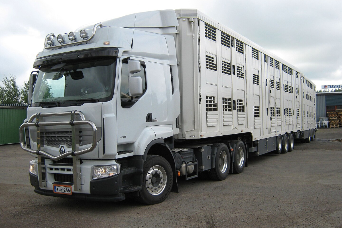 Dreistöckiger Viehtransporter